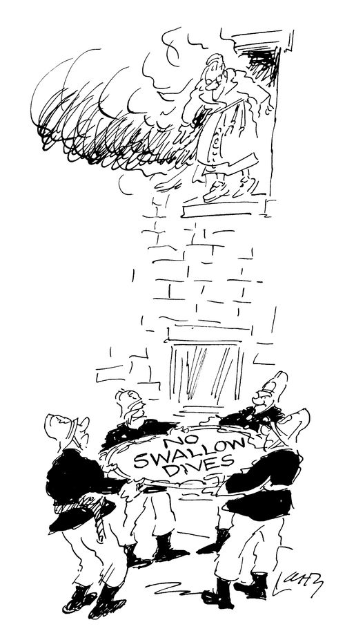 'No swallow dives'