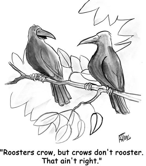 "Roosters crow, but crows don't rooster. That ain't right."