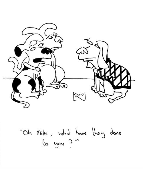 'Oh Mike, what have they done to you?'