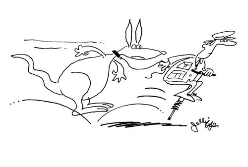 Taking a pet kangeroo for a 'walk'.