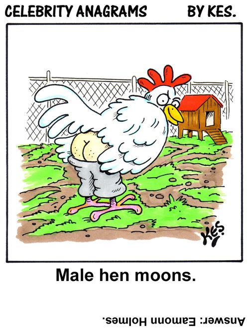 Celebrity anagram: Male hen moons     (Answer: Eamonn Holmes.)