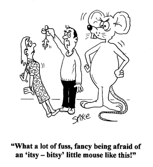 'What a lot of fuss, fancy being afraid of an 'itsy-bitsy' little mouse like this!'