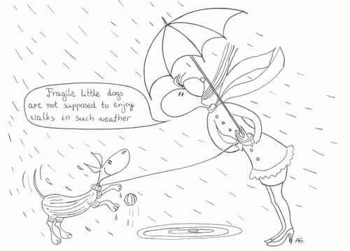 'Fragile little dogs are not supposed to enjoy walks in such weather.'