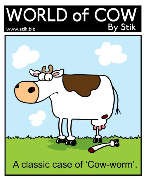 A classic case of 'Cow-Worm'.