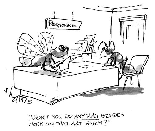 'Didn't you do anything besides work on that ant farm?'