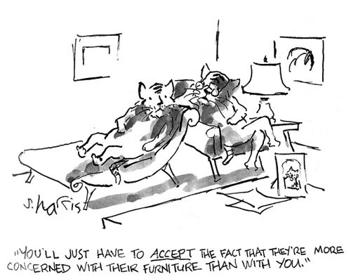 'You''ll just have to accept the fact that they're more concerned with their furniture than with you.'