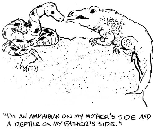 'I'm an amphibian on my mother's side and a reptile on my father's side.'