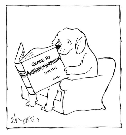 Guide to Anthropomorphism.