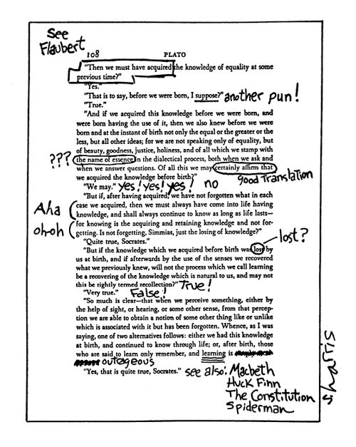Essay Paper.