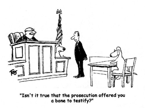 "Isn't it true that the prosecution offered you a bone to testify?"