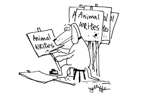Animal writes.