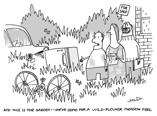 'And this is the garden - we've gone for a wild-flower meadow feel.'