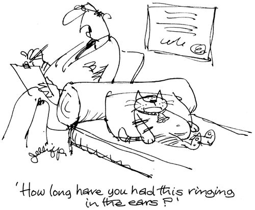 'How long have you had this ringing in the ears?'