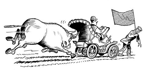 Bull race.
