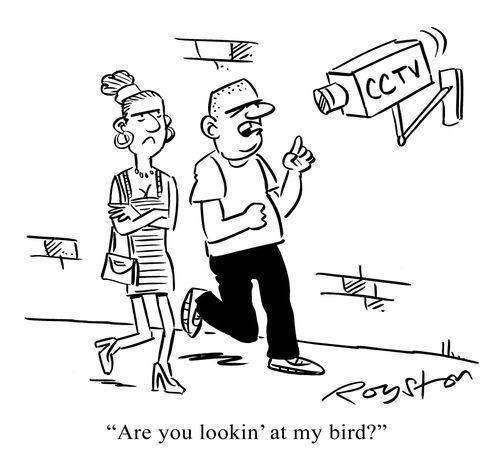 Thug says to CCTV security camera: 'Are you lookin' at my bird?'