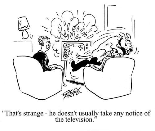 'That's strange - he doesn't usually take any notice of the television.'