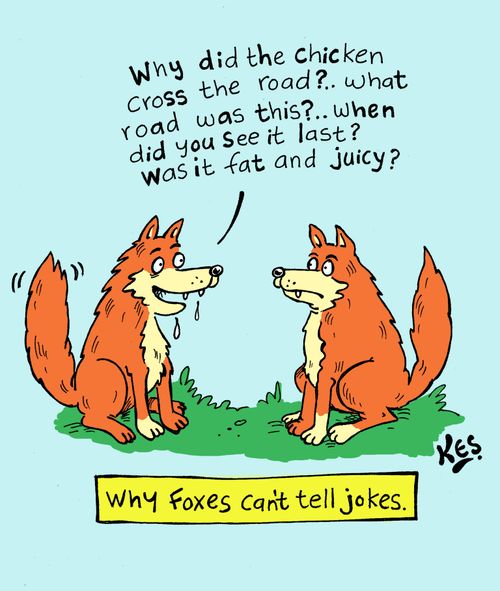 Why foxes can't tell jokes.