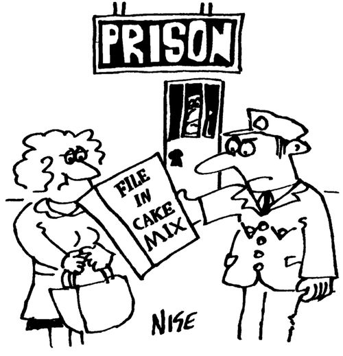 Visitor tries to smuggle cake-mix with file in it, into prison.