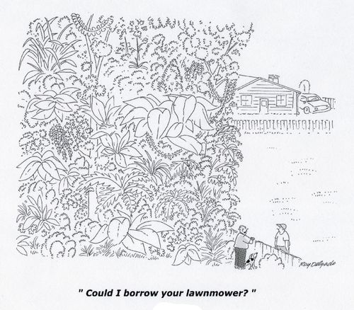 'Could I borrow your lawnmower?'