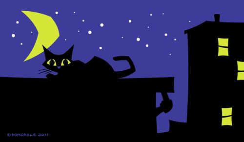 Night Cat