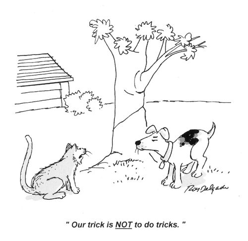'Our trick is not to do tricks.'