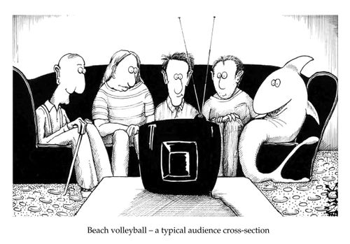 Beach volleyball - a typical audience cross-section.