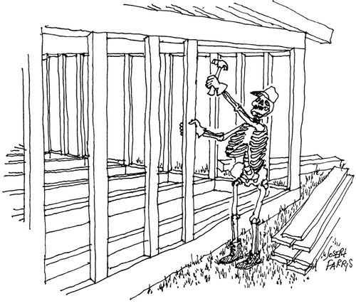 Skeleton Builder.