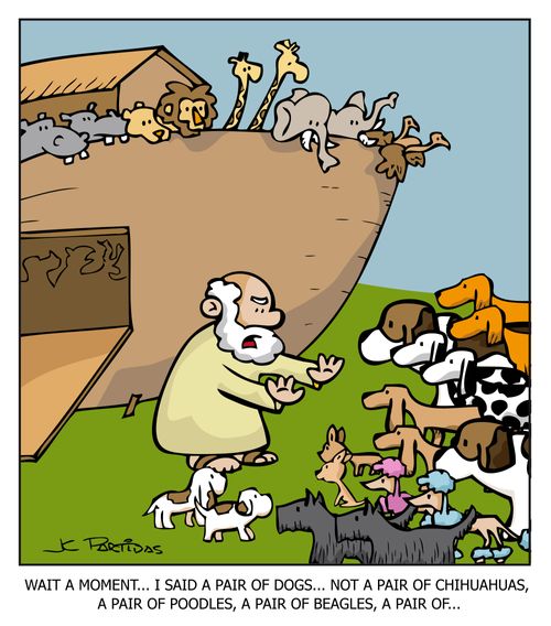 'Wait a moment...I said a pair of dogs...not a pair of chihuahuas, a pair of poodles, a pair of beagles, a pair of...'