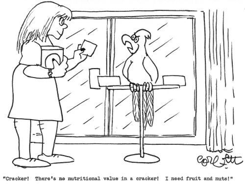 "There's no nutritional value in a cracker!"