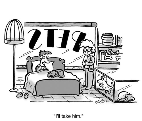 'I'll take him.'