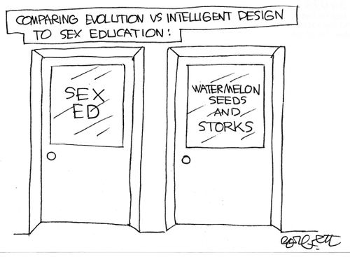 Comparing evolution vs intelligent design to sex ed: Sex Ed. . . Watermelon Seeds and Storks.