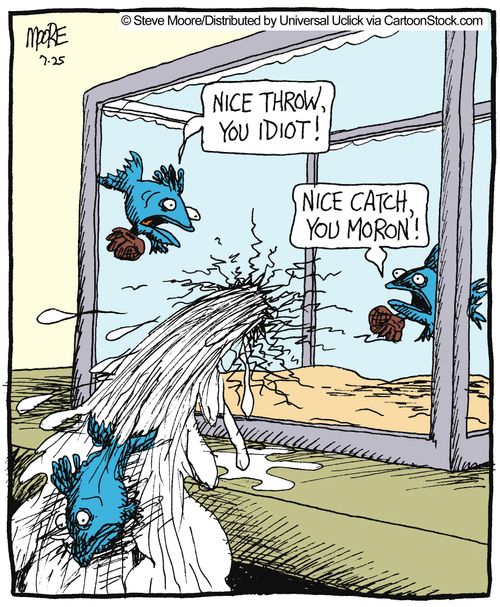 'Nice throw...'