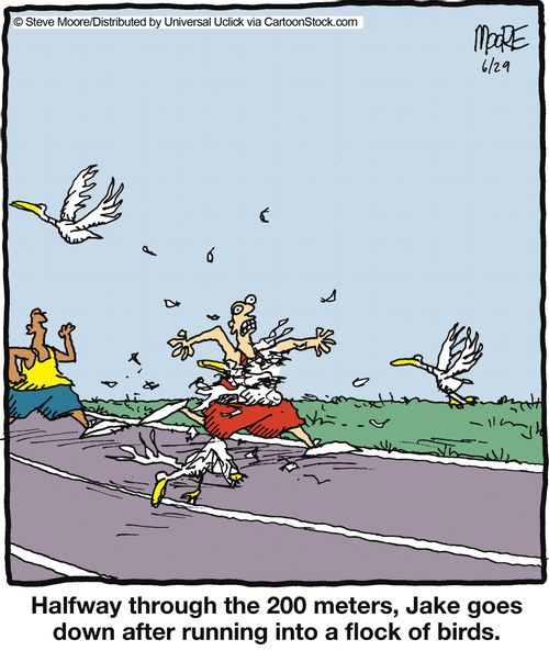 Halfway through the 200 meters, Jake goes down after running into a flock of birds.