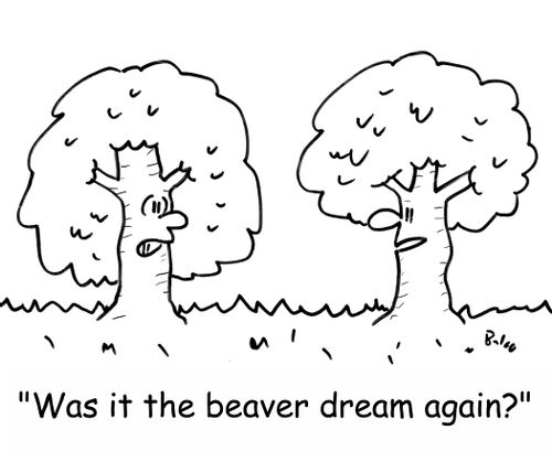'Was it the beaver dream again?'