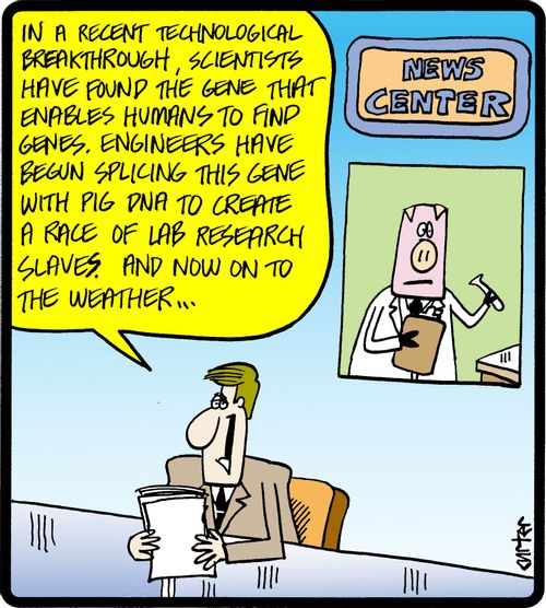 'In a recent technological breakthrough, scientists have found the gene that enables humans to find genes. Engineers have began splicing this gene with pig DNA to create a race of lab research slaves. And now on to the weather. . .'