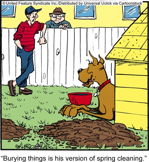 'Burying things is his version of spring cleaning.'