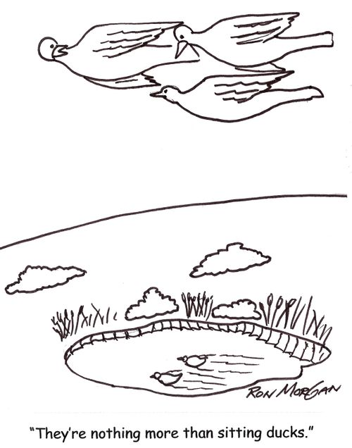 'They're nothing more than sitting ducks.'