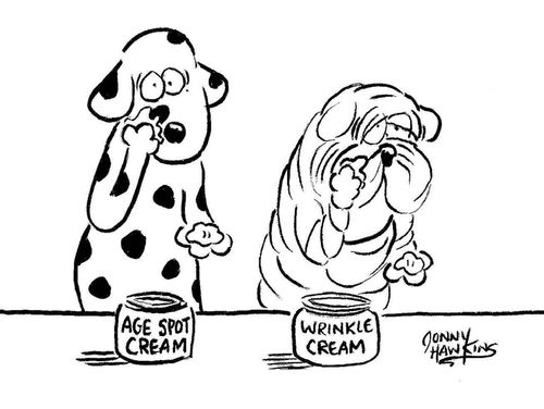 Dalmation applies 'Age Spot Cream', while wrinkly dog applies 'Wrinkle Cream'.
