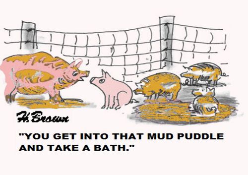 'You get into that mud puddle and take a bath.'
