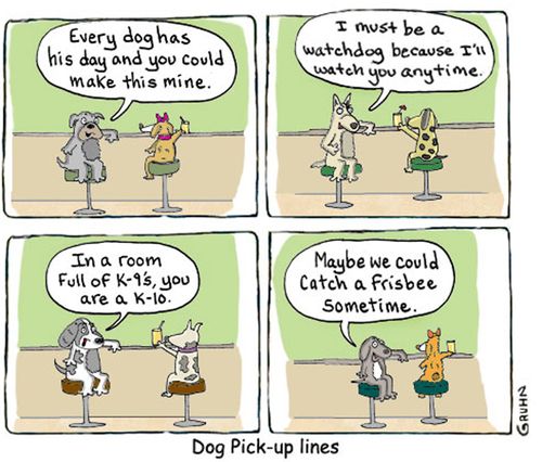 Dog Pick-up Lines.