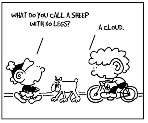 'What do you call a sheep with no legs?'