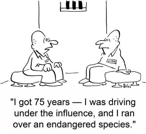'I got 75 years -- I was driving under the influence, and I ran over an endangered species.'