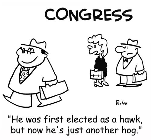 'He was first elected as a hawk, but now he's just another hog.'