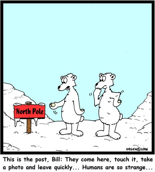 'This is the post, Bill: They come here, touch it, take a photo and leave quickly... Humans are so strange...'