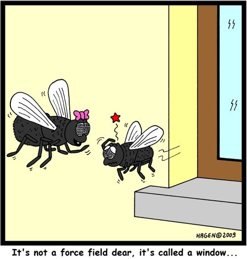 'It's not a force field dear, it's called a window...'