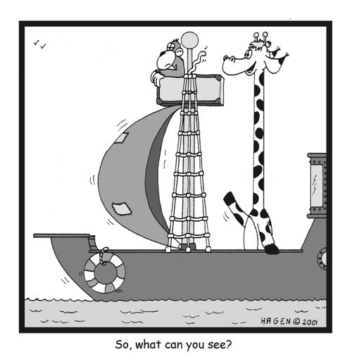 So, what can you see?