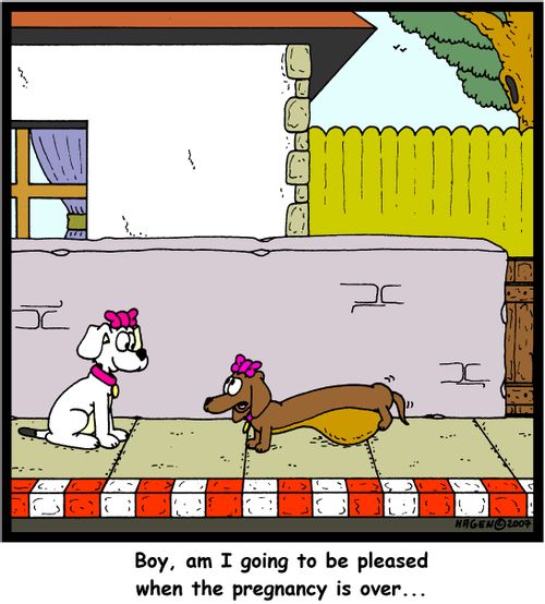 'Boy, am I going to be pleased when the pregnancy is over...'