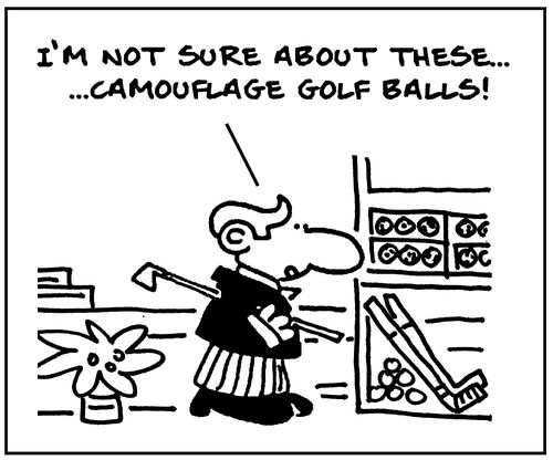 'I'm not sure about these... camouflage golf balls!'