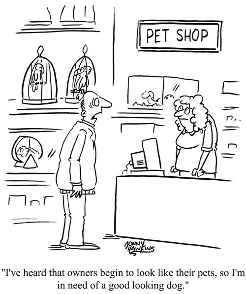 I've heard that owners begin to look like their pets,so I'm in need of a good looking dog.