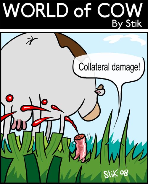 Collateral damage!
